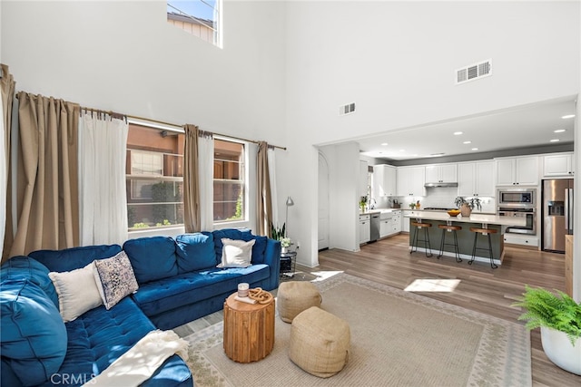 living room featuring wood-type flooring and a towering ceiling