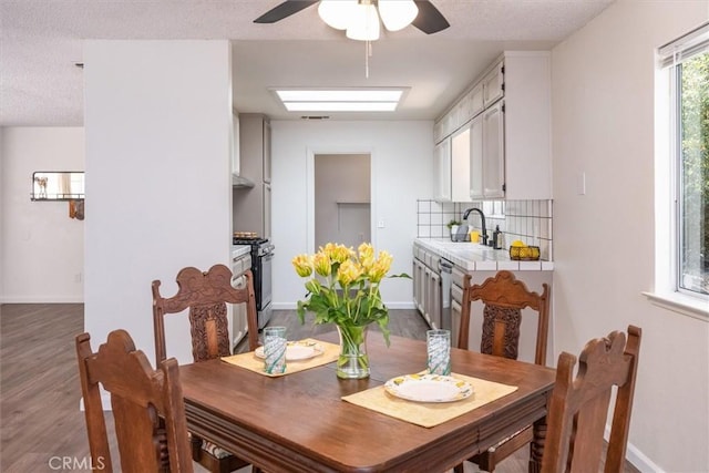 dining area with ceiling fan, sink, hardwood / wood-style floors, and a textured ceiling