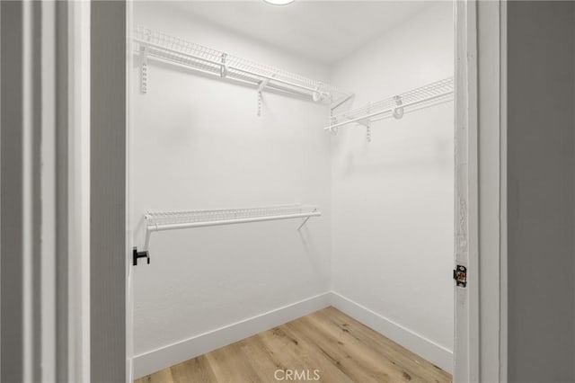 walk in closet featuring light wood-type flooring