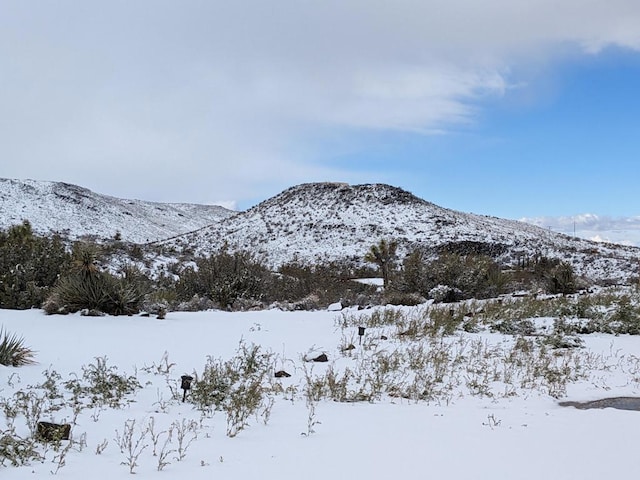 view of mountain feature