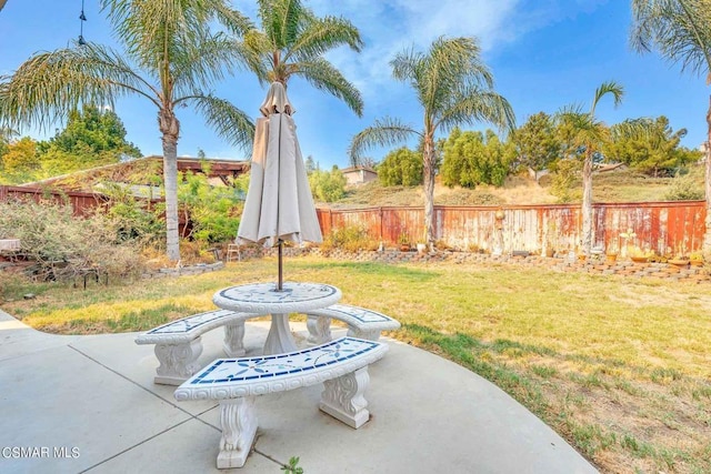 view of yard featuring a patio area