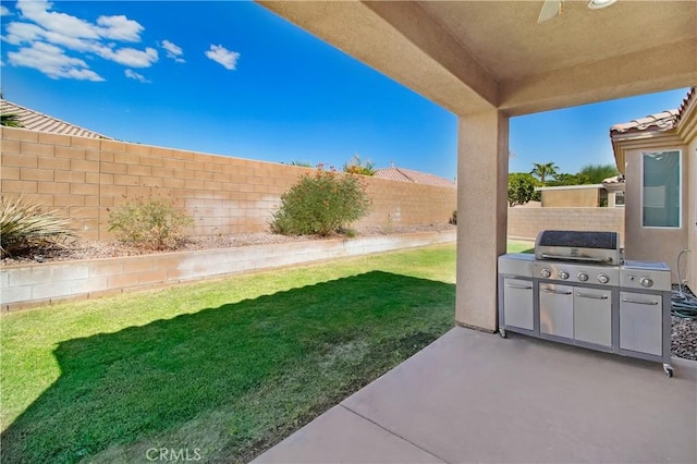 view of yard featuring a patio