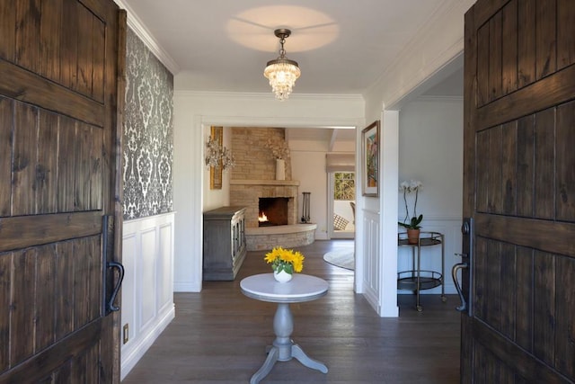 foyer entrance featuring crown molding, a stone fireplace, dark hardwood / wood-style floors, and an inviting chandelier