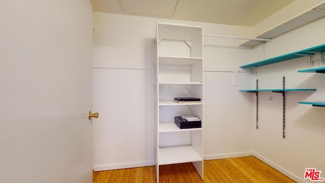 spacious closet featuring wood-type flooring