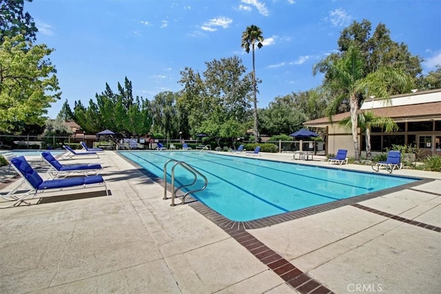 view of swimming pool featuring a patio