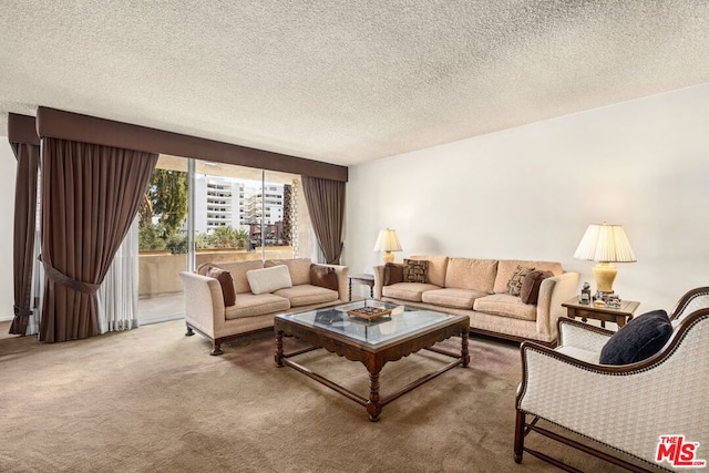 living room featuring a textured ceiling and carpet