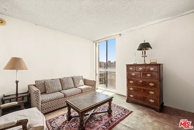 carpeted living room featuring a textured ceiling