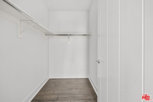 spacious closet featuring dark wood-type flooring