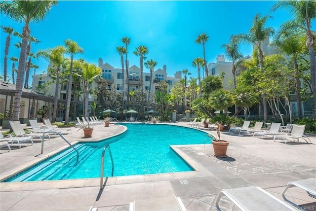 view of swimming pool with a patio