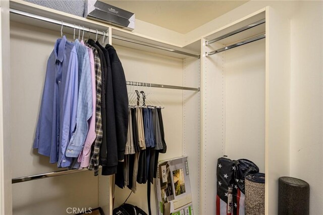 view of walk in closet