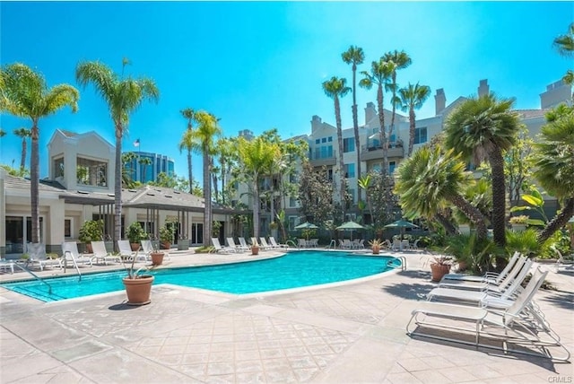 view of pool with a patio