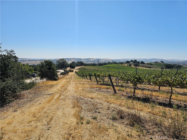 Listing photo 3 for 0 Paint Horse Pl, Paso Robles CA 93446