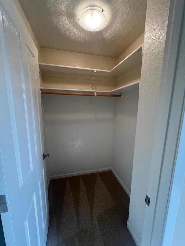 spacious closet featuring carpet