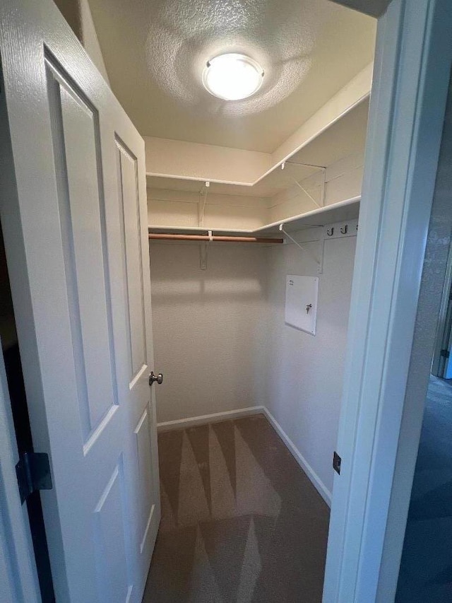 walk in closet featuring carpet