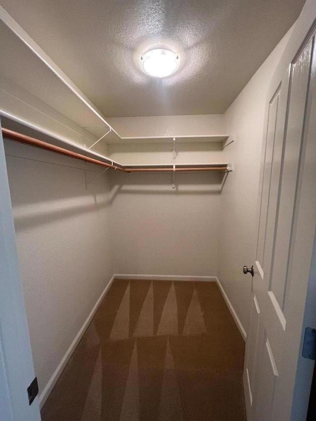 walk in closet with carpet floors