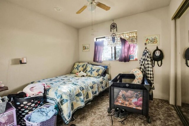 5975 Desert Star Rd Unit 1-2, Johnson Valley, CA 92285 - bedroom featuring ceiling fan, carpet, and a closet