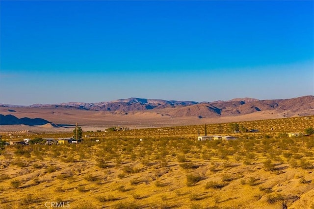 5975 Desert Star Rd Unit 1-2, Johnson Valley, CA 92285 - photo 41