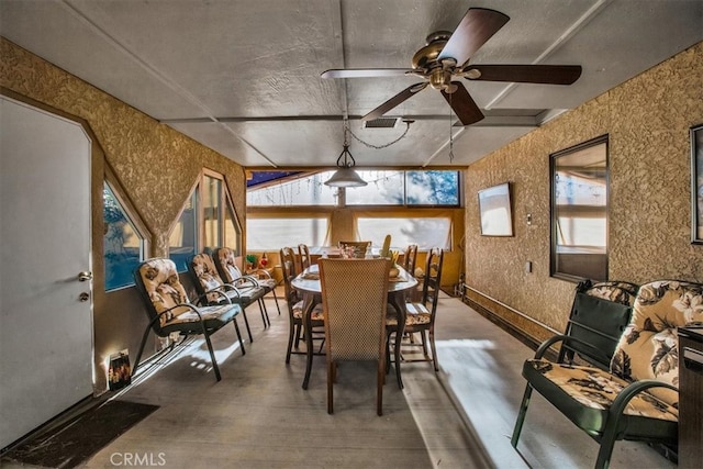 dining area featuring a wealth of natural light, ceiling fan, and wood-type flooring