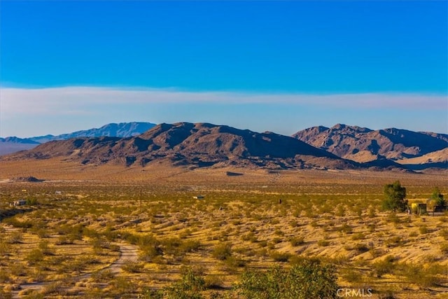 5975 Desert Star Rd Unit 1-2, Johnson Valley, CA 92285 - photo 29