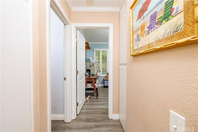 hall featuring crown molding and hardwood / wood-style floors