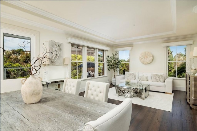 sunroom / solarium featuring a wealth of natural light and a raised ceiling