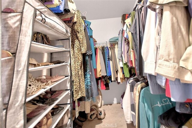 spacious closet with carpet floors