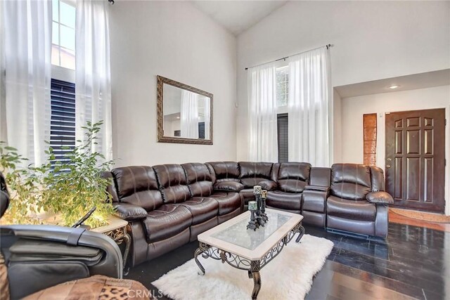 living room with plenty of natural light, dark hardwood / wood-style floors, and lofted ceiling