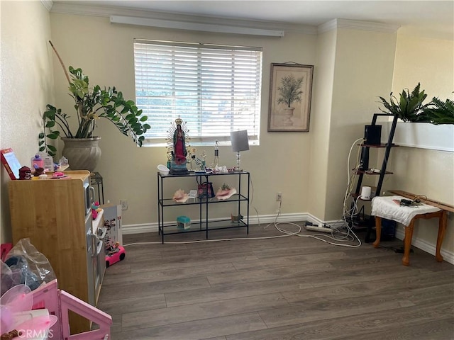 misc room with dark hardwood / wood-style flooring and crown molding