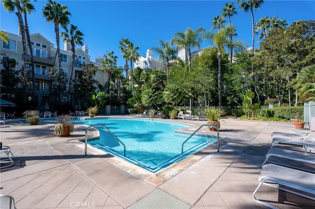 view of swimming pool with a patio