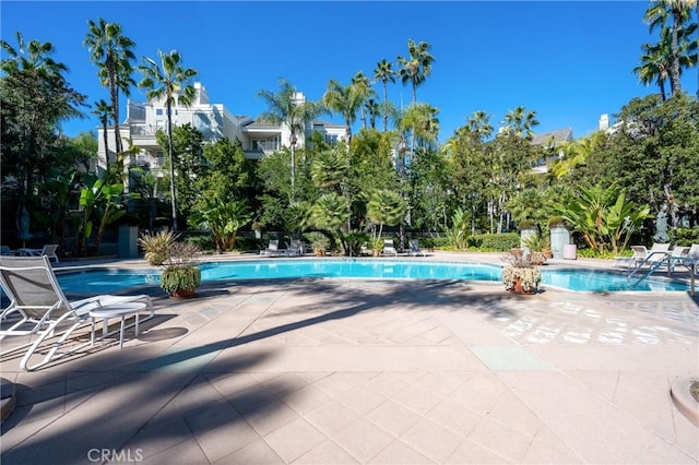 view of swimming pool featuring a patio area