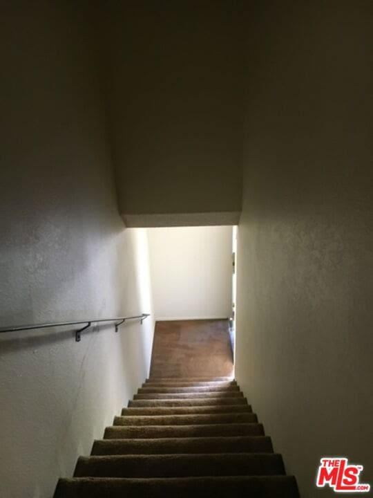 stairway with carpet floors