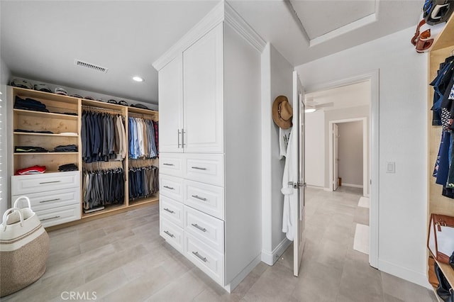 view of spacious closet