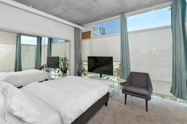 bedroom with carpet floors and multiple windows