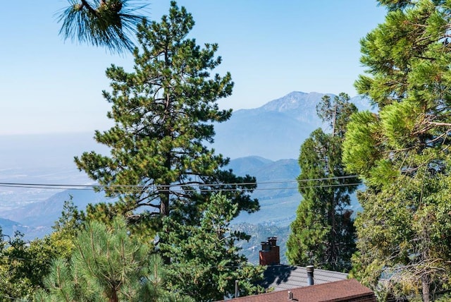 property view of water featuring a mountain view