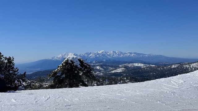 view of mountain feature