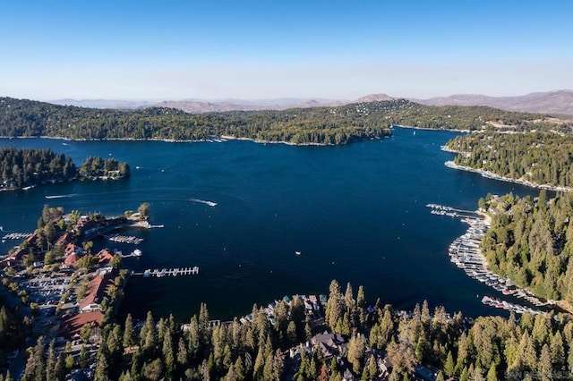 drone / aerial view with a water and mountain view