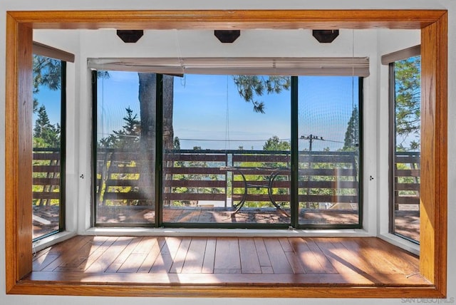 doorway featuring a healthy amount of sunlight and wood-type flooring