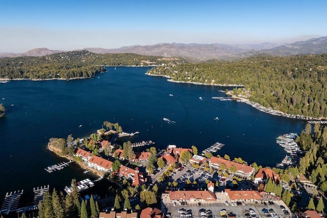 drone / aerial view featuring a water and mountain view