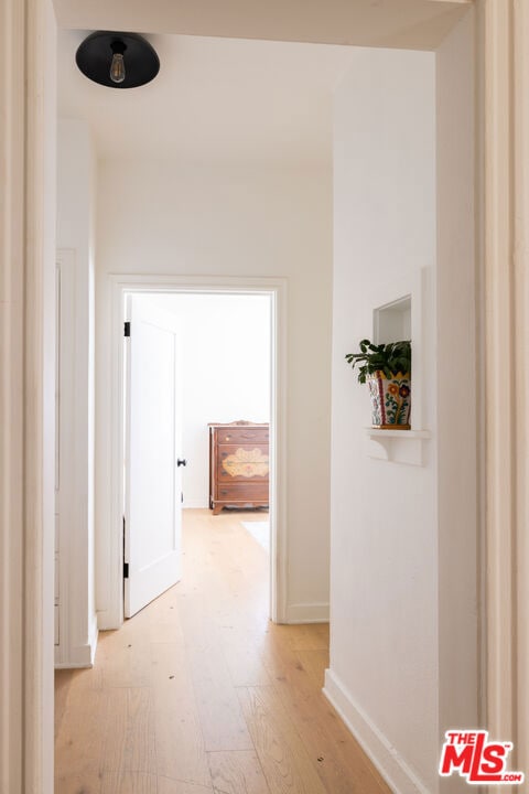 corridor featuring light hardwood / wood-style flooring