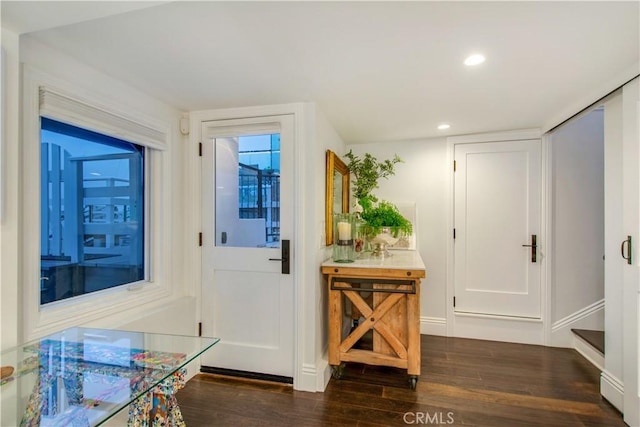 doorway to outside featuring dark wood-type flooring