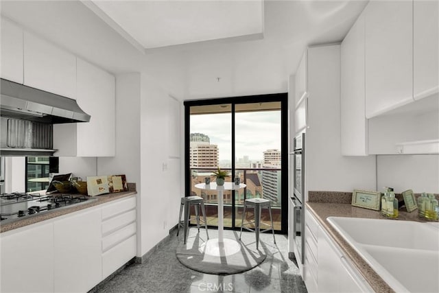 kitchen with baseboards, white cabinets, appliances with stainless steel finishes, under cabinet range hood, and a sink