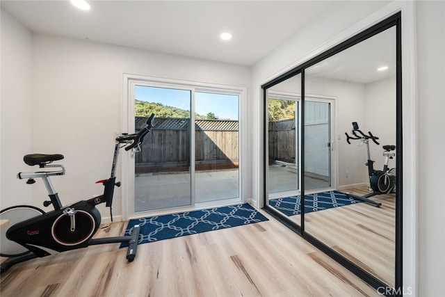 workout area featuring hardwood / wood-style flooring