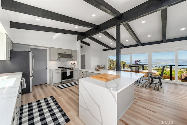 kitchen with light stone countertops, light hardwood / wood-style floors, a center island, and stainless steel appliances