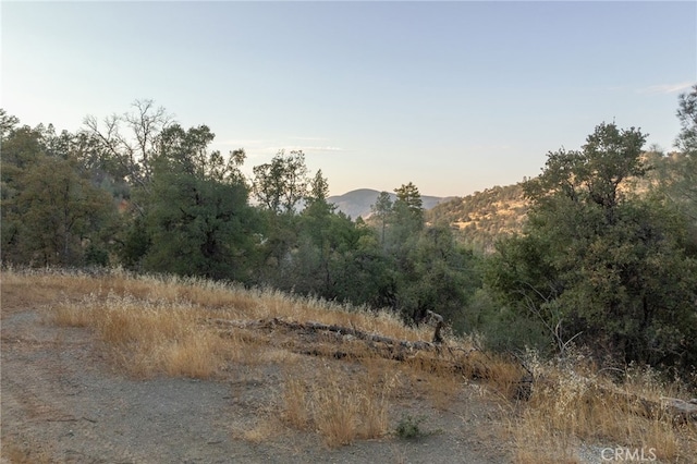 nature at dusk with a mountain view