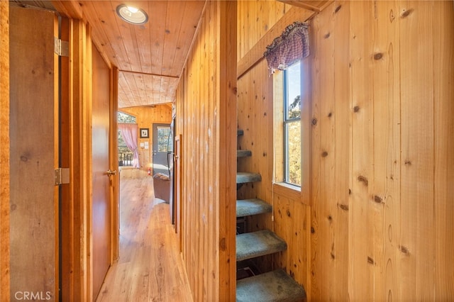 hallway with wooden walls, lofted ceiling, light hardwood / wood-style floors, and wood ceiling