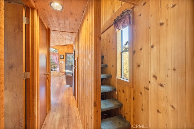 hall featuring wood ceiling, wooden walls, and light hardwood / wood-style flooring