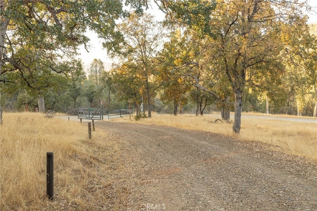 view of road