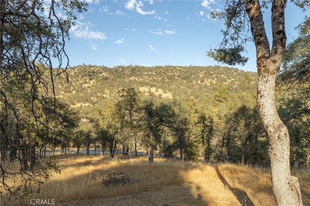 view of local wilderness