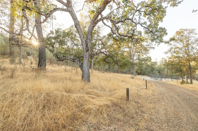 view of landscape