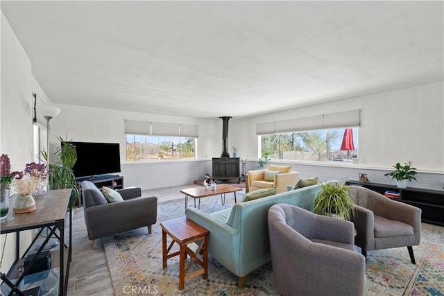 living room featuring light wood-type flooring, a wood stove, and plenty of natural light